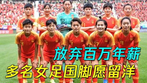 舒畅足球爆料最新消息今天,今日热点事件深度解析